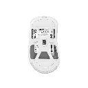 pulsar-xlite-v3-wireless-whsite-medium-size-2.webp