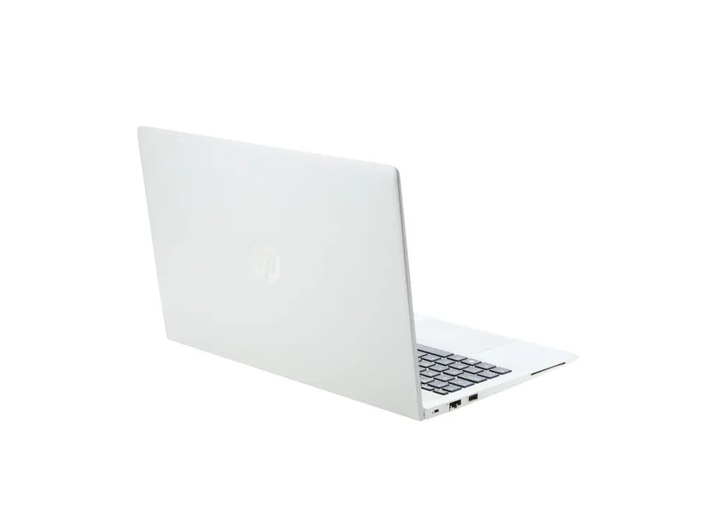 13.webp