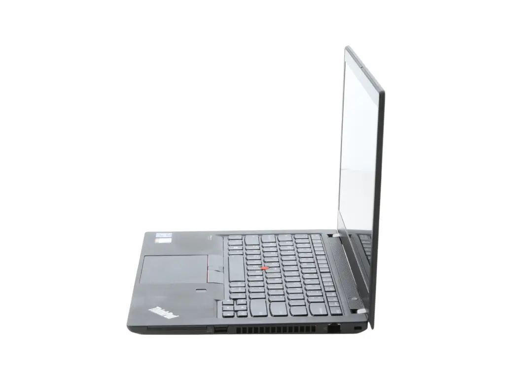5.webp